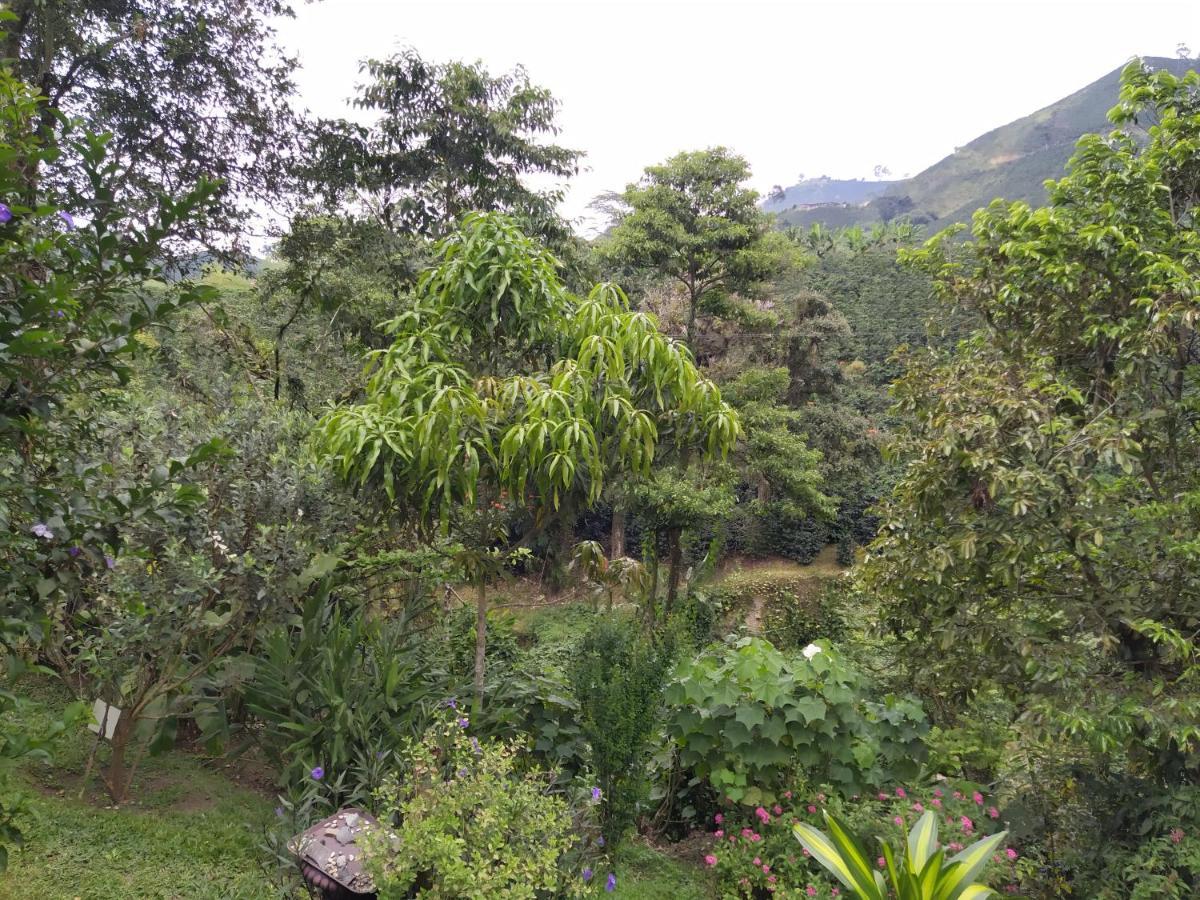 Hacienda Guayabal Villa Chinchiná Buitenkant foto